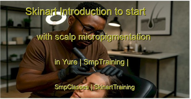 Skinart Introduction to start with scalp micropigmentation in Yure | SmpTraining | SmpClasses | SkinartTraining-Lithuania